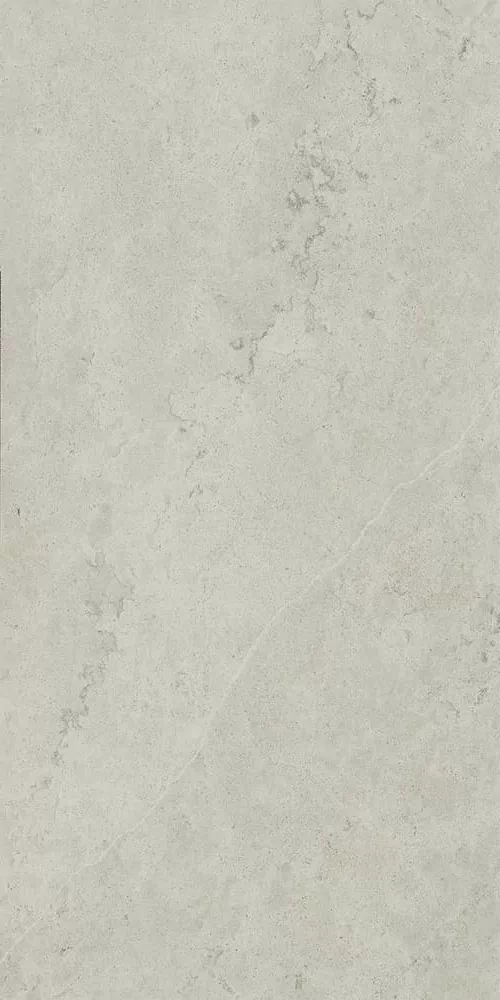 Керамогранит 610010002628 Metropolis Absolut Silver Nat Rett 60x120