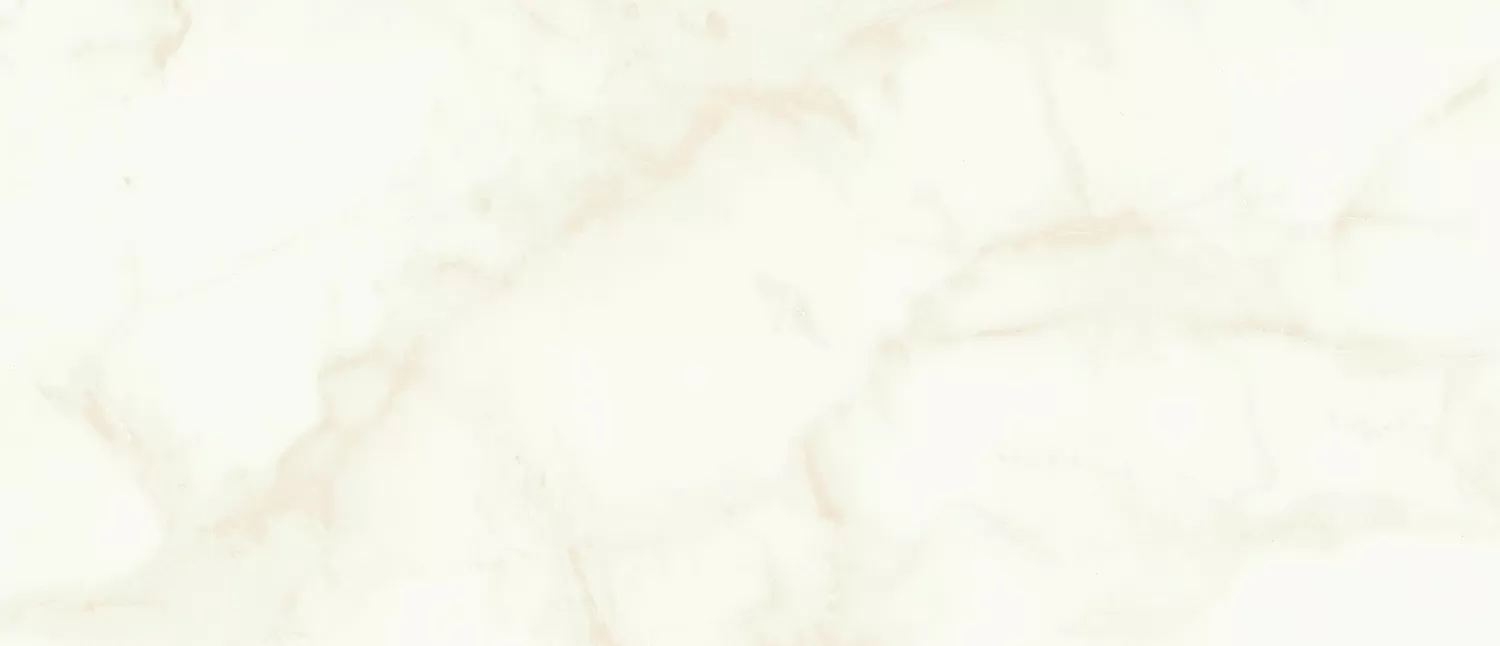 Плитка A4TT Marvel Calacatta Delicato Silk 50x120