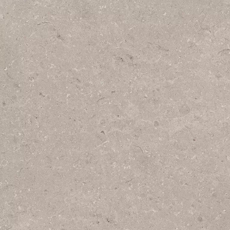 Керамогранит 100330200 Coral Topo L 80x80