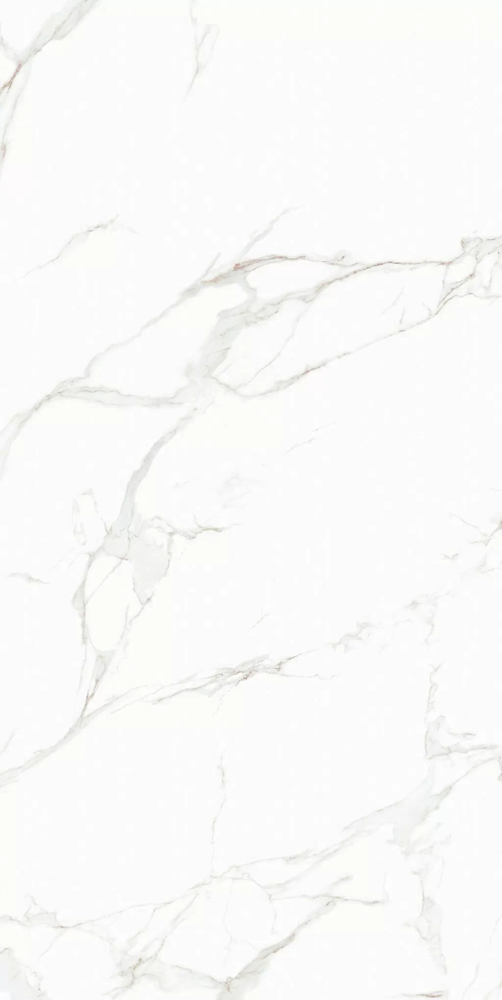 Плитка 0005 Amuletto White 25x50