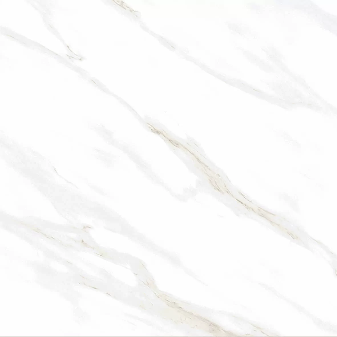 Керамогранит Calacatta Clarity Gold Белый Матовый 80х80