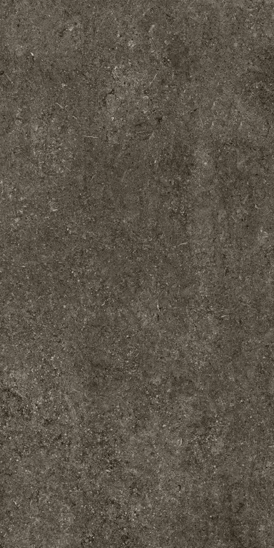 Керамогранит 768327 Sensi Brown Fossil Ret 60x120