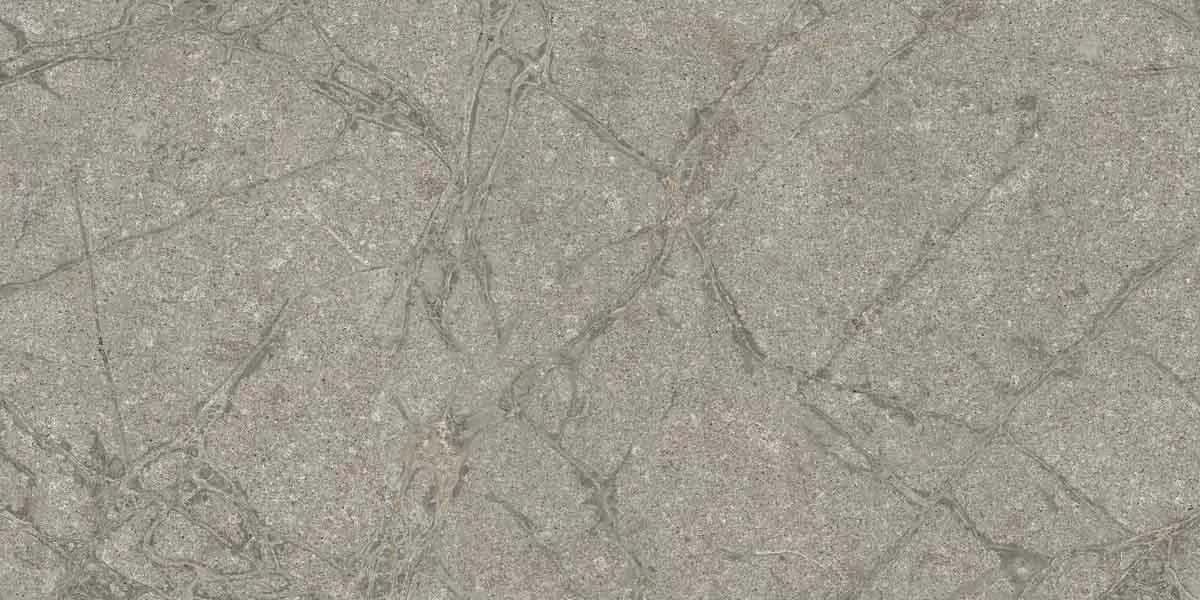 Керамогранит PF60011858 Supreme Memories Grey Soapstone Ant Ret 60x120