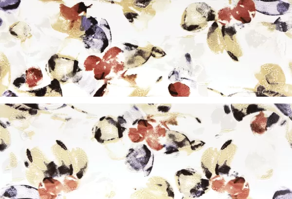 Плитка WITVE008 Majolika 20x60