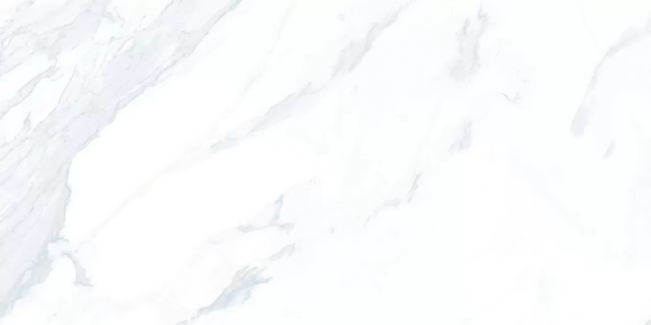 Керамогранит Calacatta POL 120x60