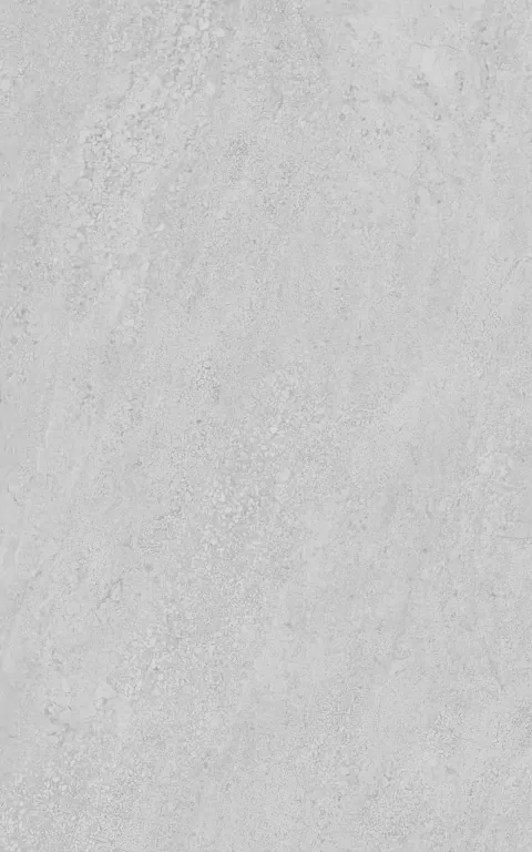 Плитка 6424 Мотиво серый светлый глянцевый 25x40