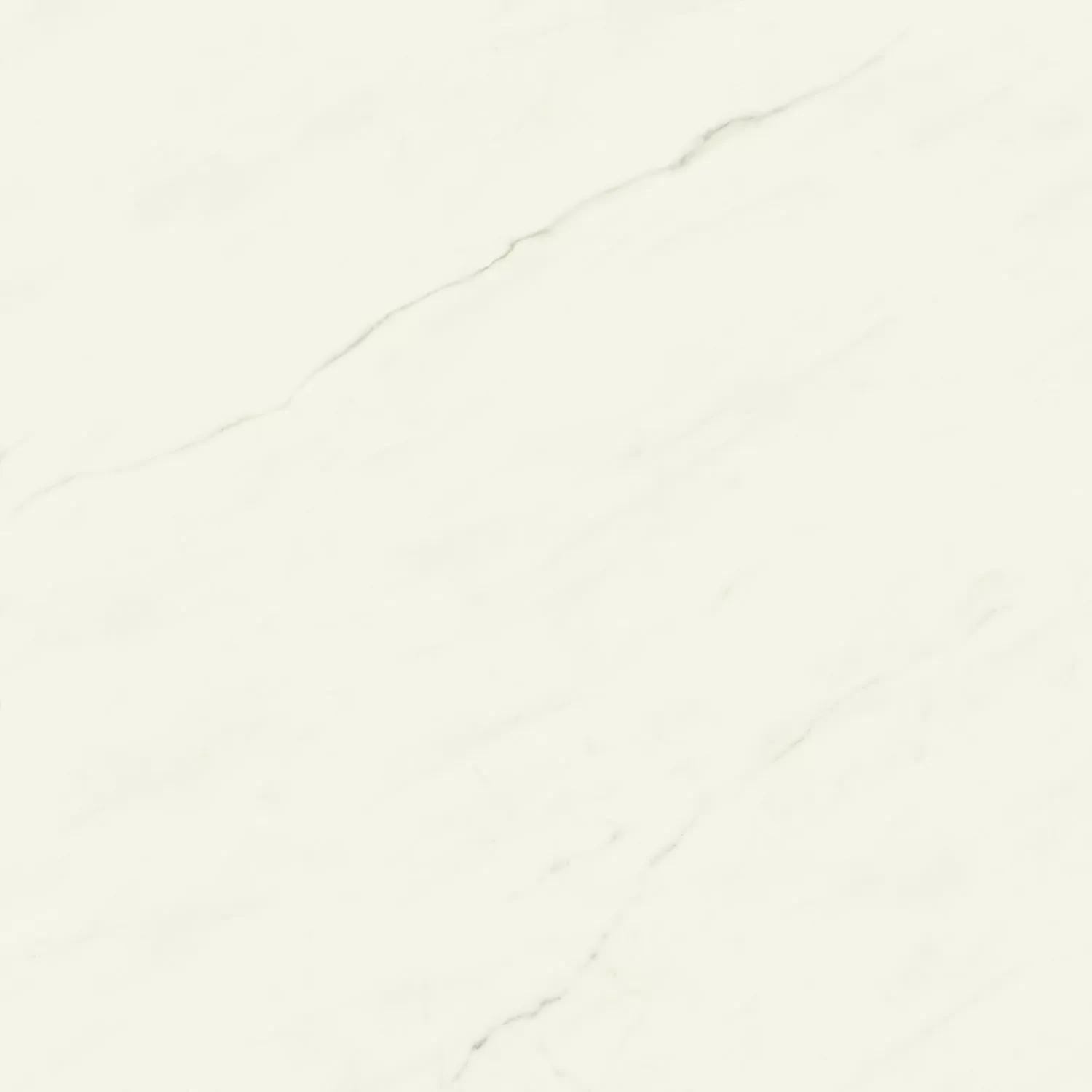 Керамогранит AJII Marvel Meraviglia Calacatta Meraviglia Velvet 120x120