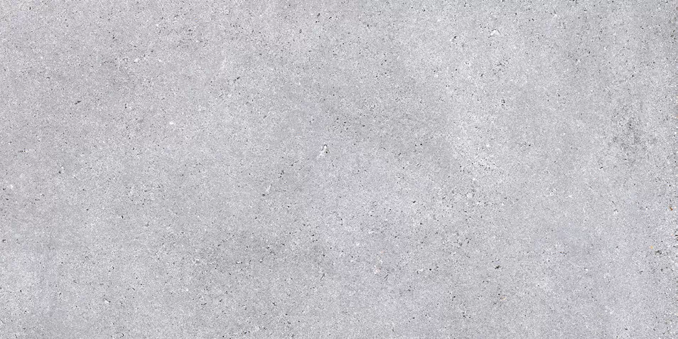 Керамогранит NR211 Nemo Light Grey 60x120