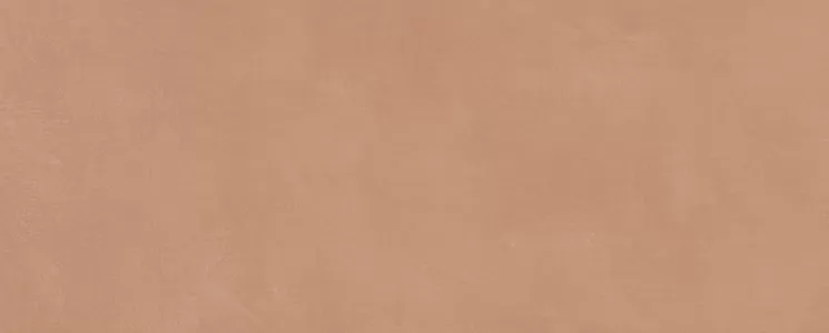 Плитка 7254 Каннареджо оранжевый матовый 20x50x0,8
