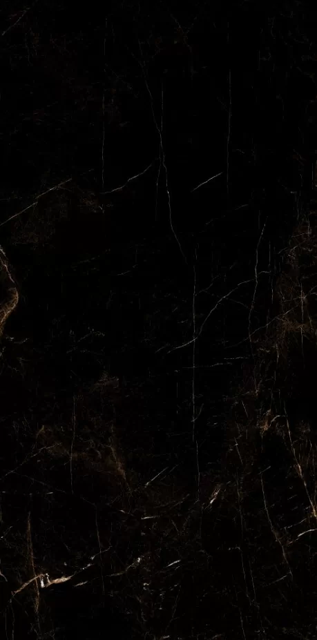 Керамогранит Marble Tropic Black 120x60