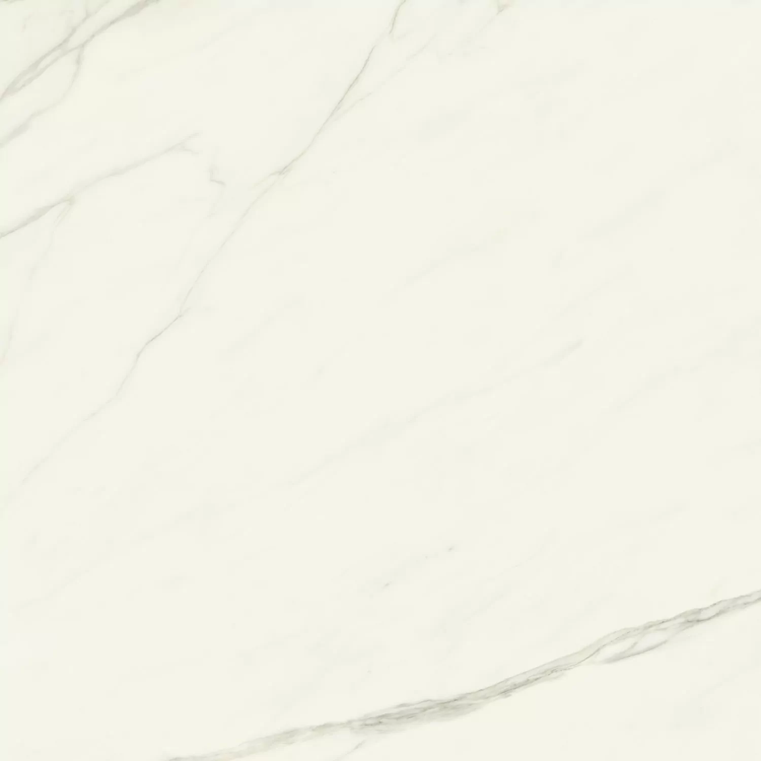 Керамогранит AJII Marvel Meraviglia Calacatta Meraviglia Velvet 120x120