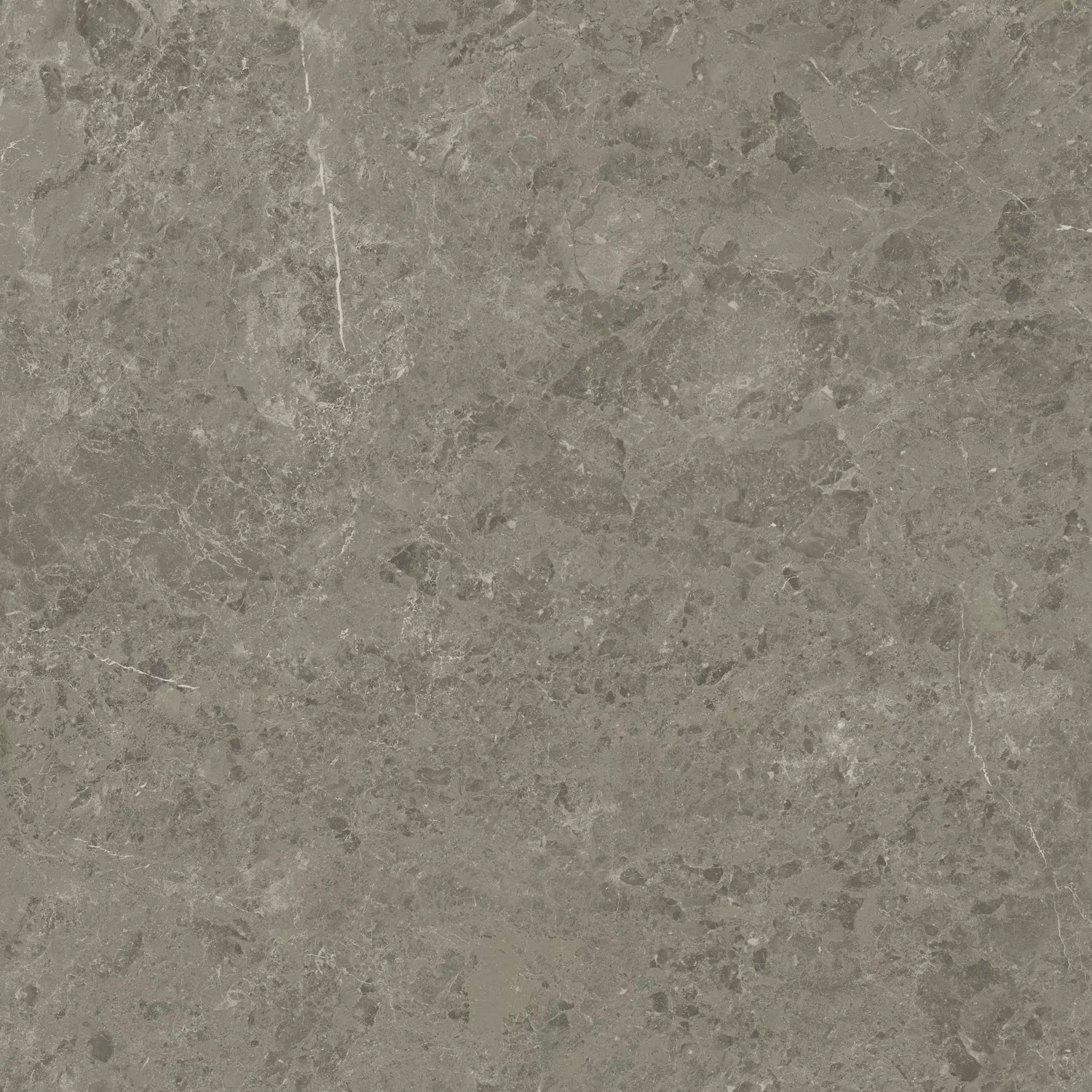Керамогранит AJIL Marvel Meraviglia Grigio Elegante Velvet 120x120