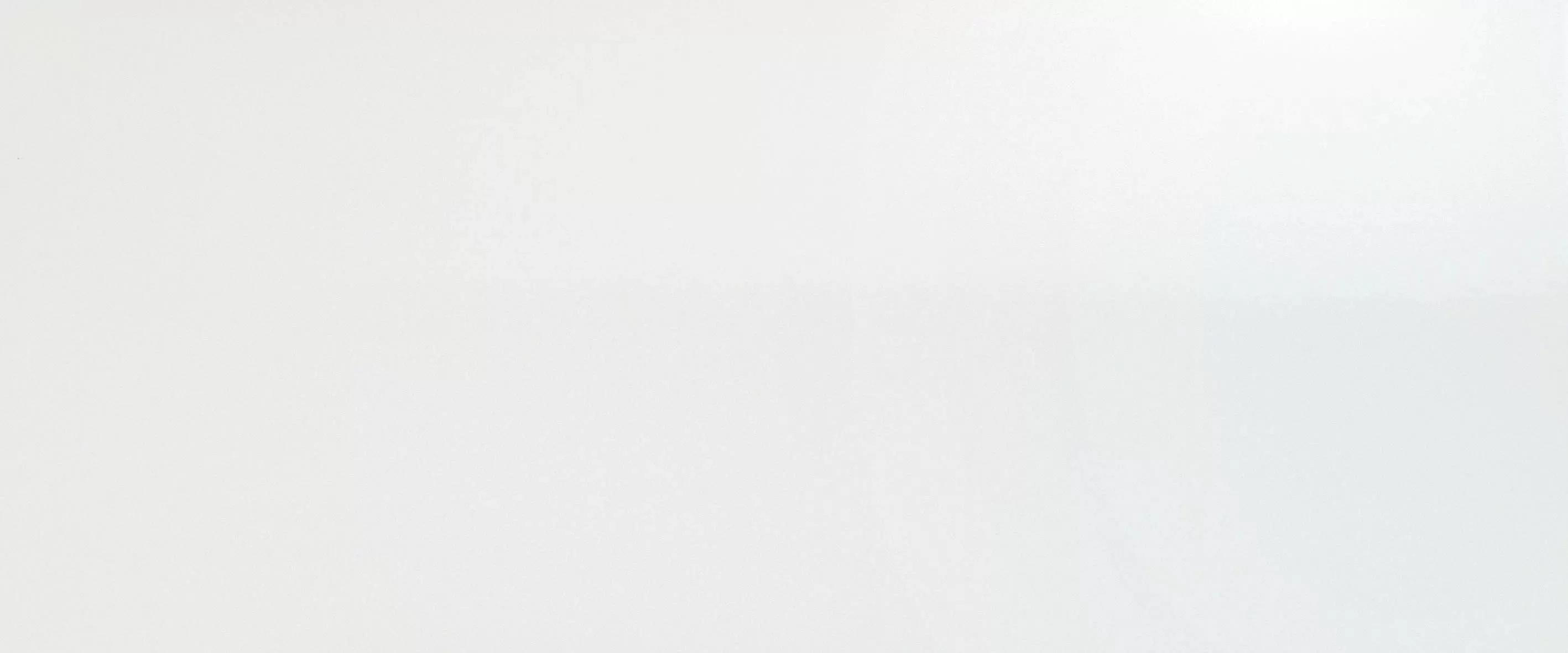 Плитка A6BG Solid White Glossy 50x120