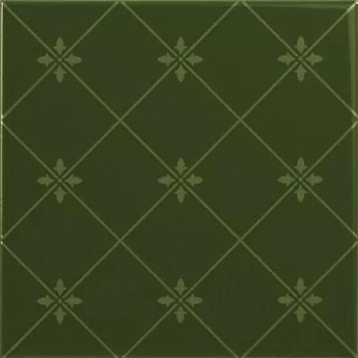 Плитка Delis Verde Botella 20х20