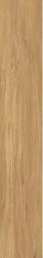 Керамогранит BNS212003 Ocher 20x120