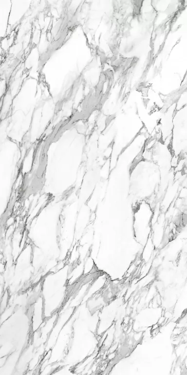 Керамогранит 010400001220 Platinum white белый PG 01 60х120