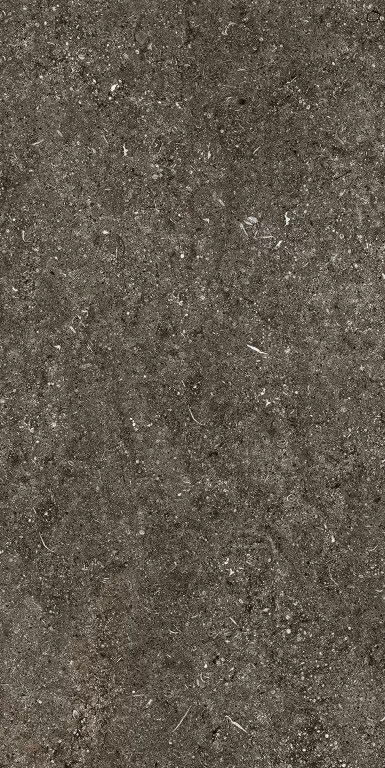 Керамогранит 768625 Sensi Brown Fossil Nat Ret 6mm 60x120