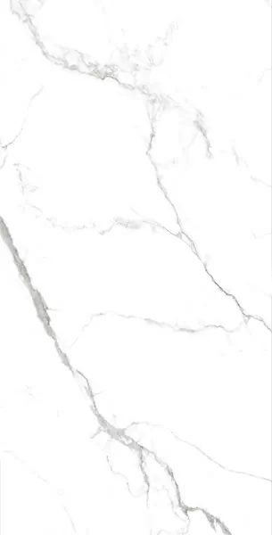 Керамогранит STATUARIO GRIS Glossy 60x120