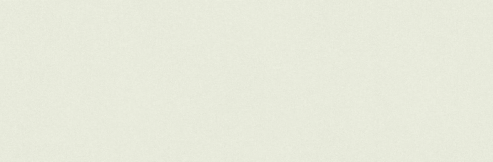 Плитка M120 Outfit Ice 25x76