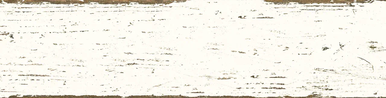 Керамогранит KM 0065 WHITE 60х15