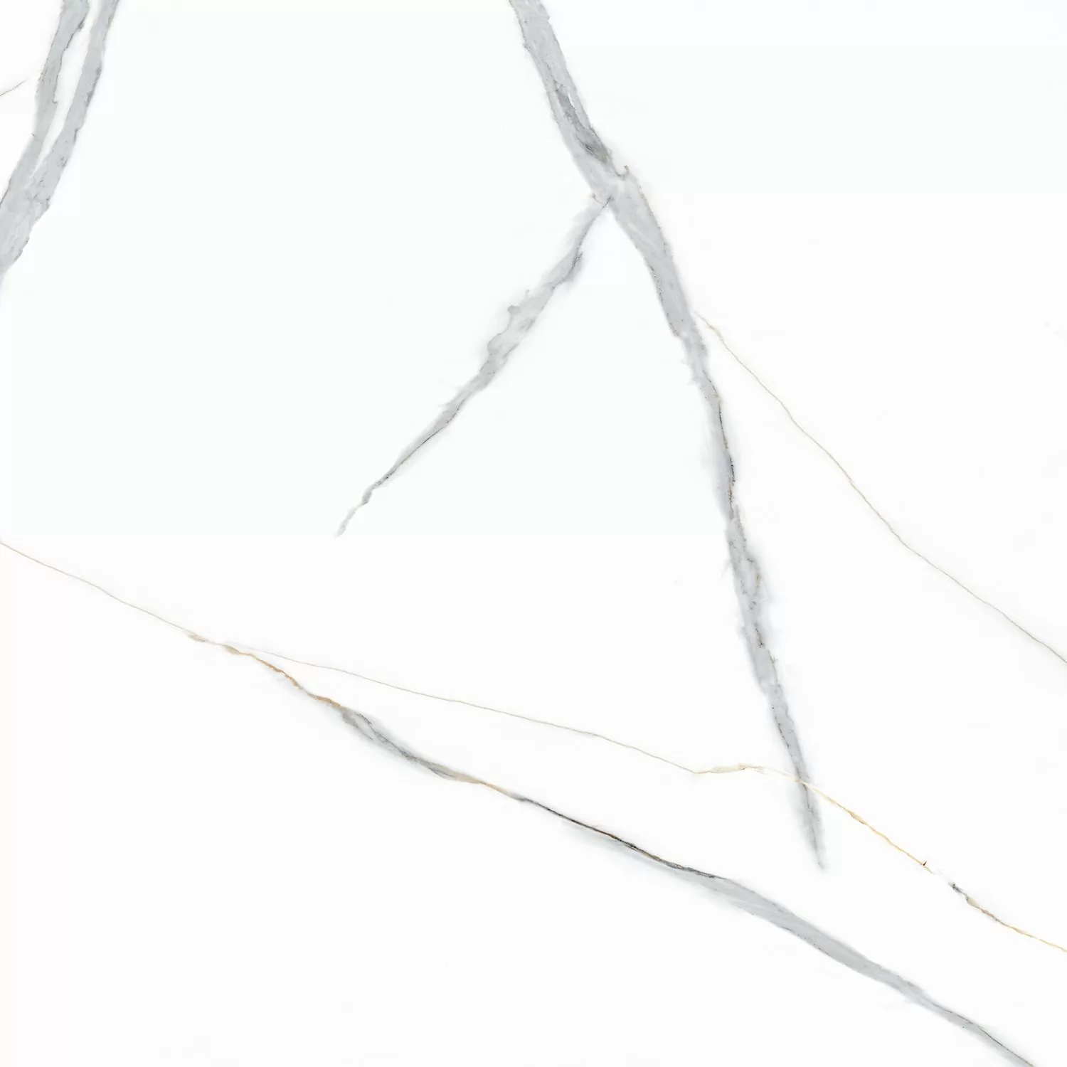 Керамогранит Statuario Gold PGVT 60x60