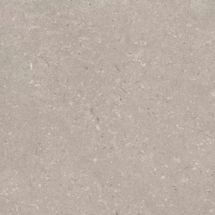 Керамогранит 100330179 Coral Topo L 120x120