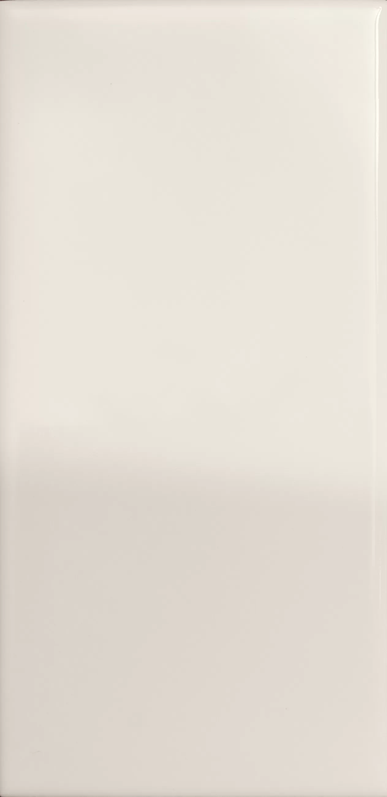 Плитка 4101101 Mou Milk Glossy 6,2x12,5