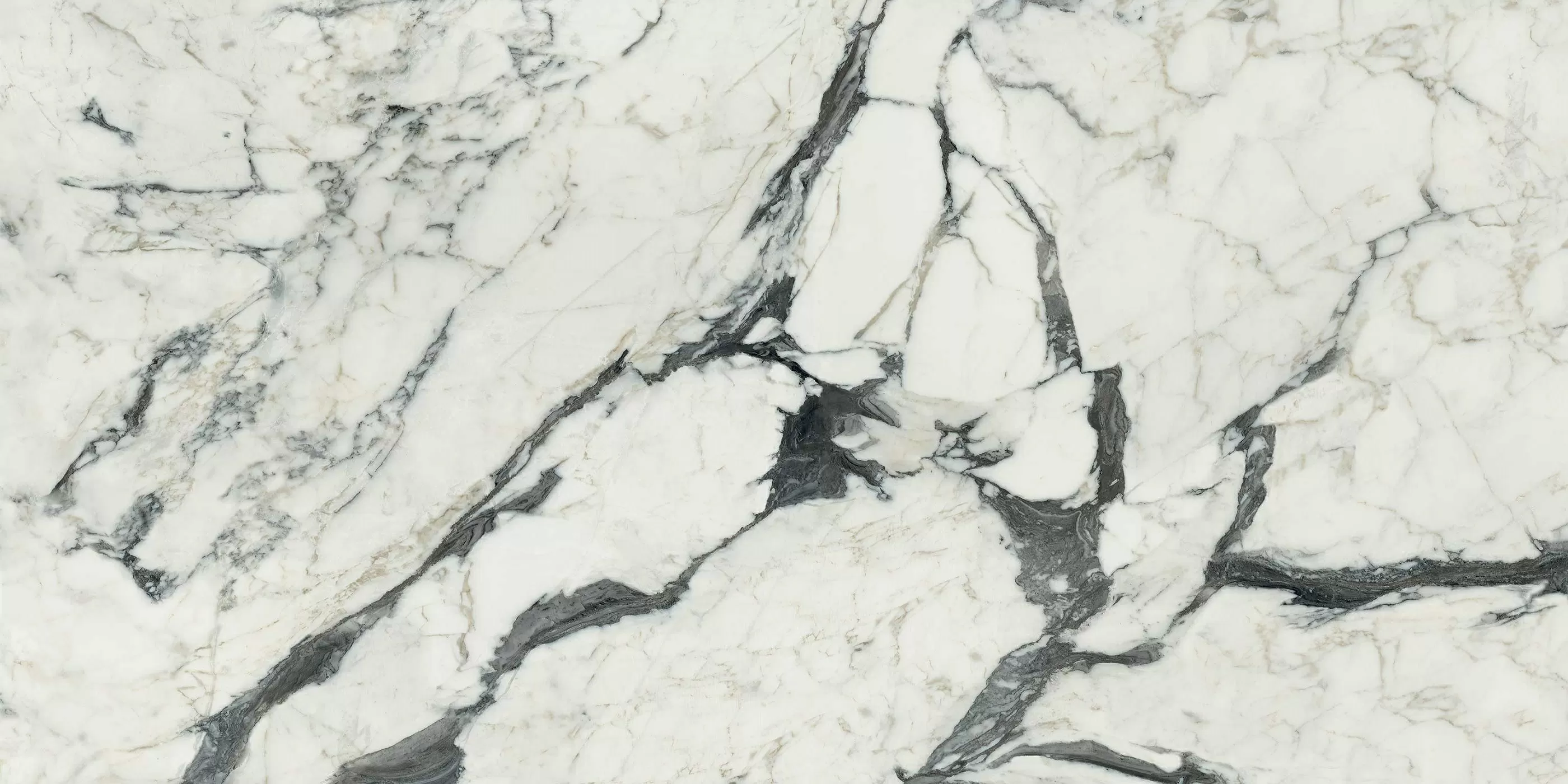 Керамогранит 766329 Les Bijoux Calacatta Altissimo Blanc Matte 60x120