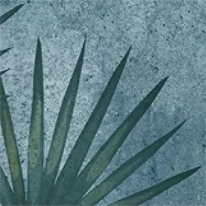 Керамогранит TR3333 Tropic 33х33