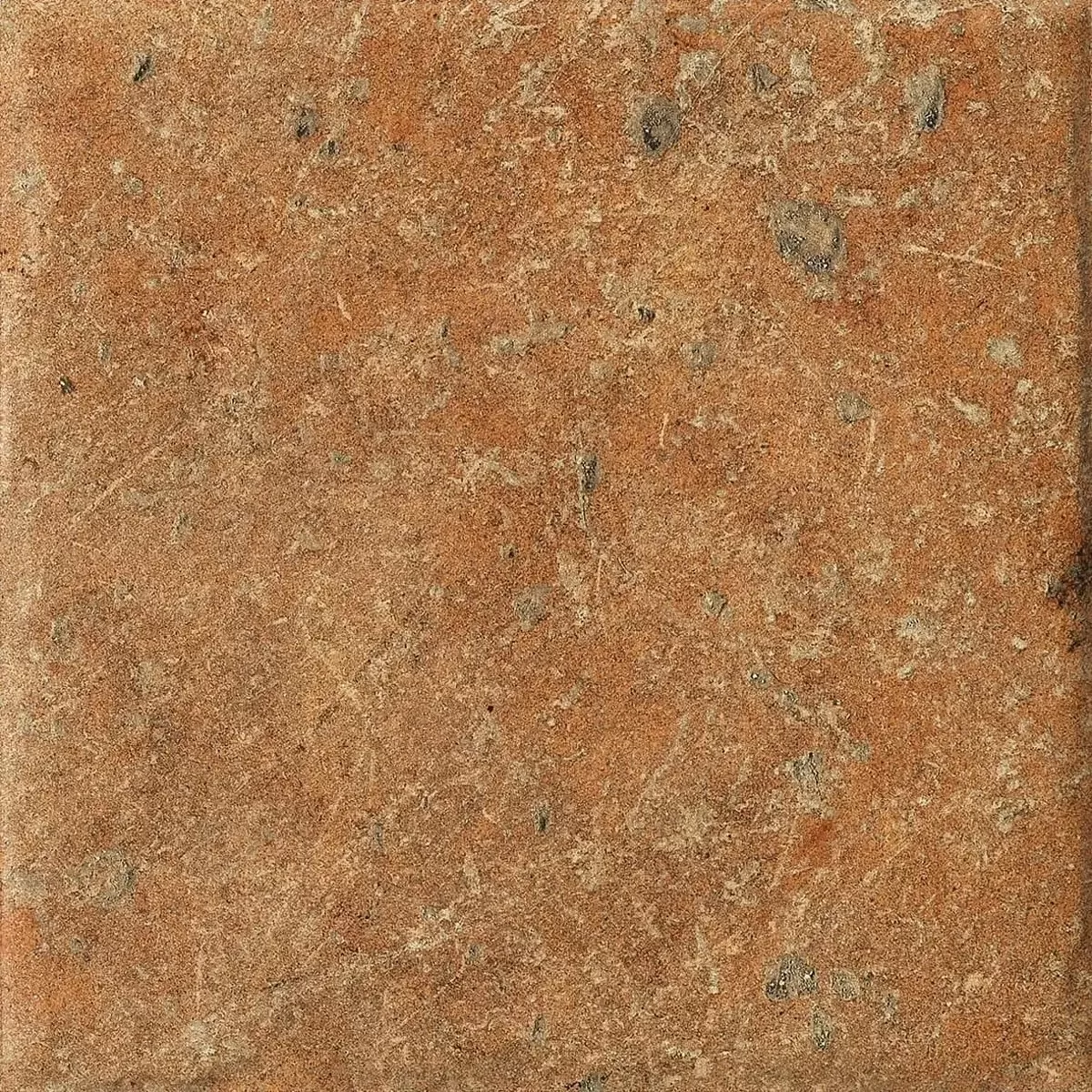 Керамогранит 1080481 Cotto Del Campiano Cotto Dorato 20x20