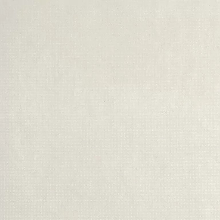Керамогранит fQQV Rooy White Matt 80x80