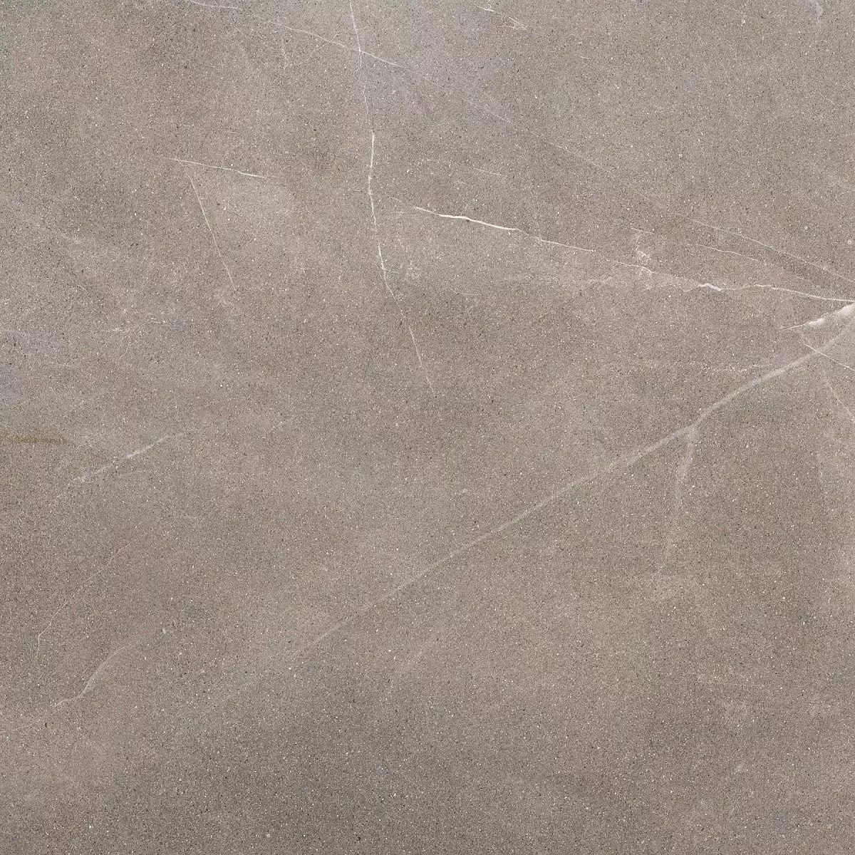 Керамогранит Pulpis Light Grey 60x60