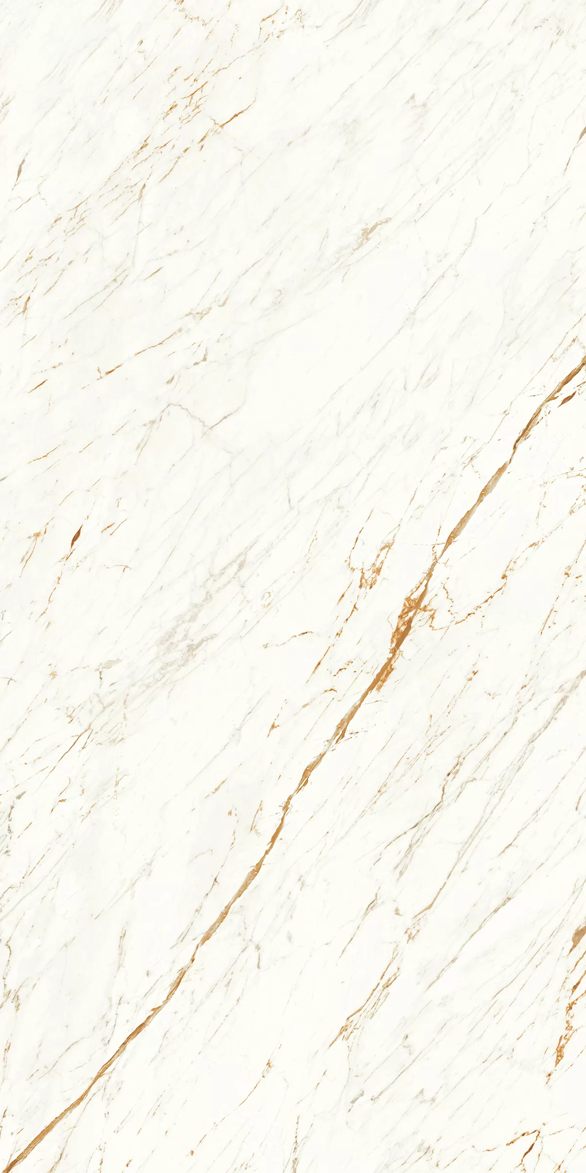 Керамогранит 903 Nero White 120x60