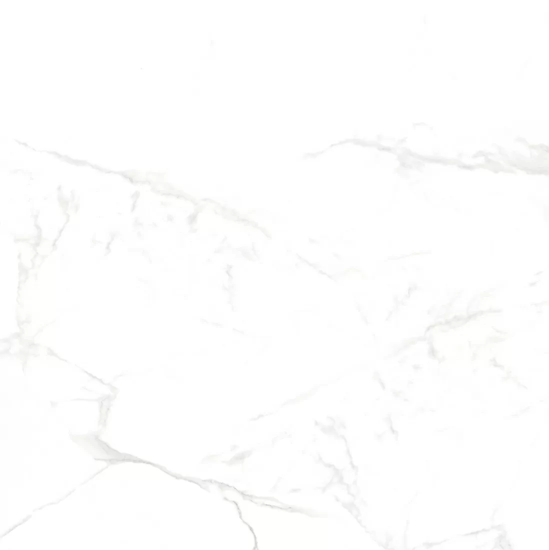 Керамогранит NTT996070M Callacata Carving 60x60