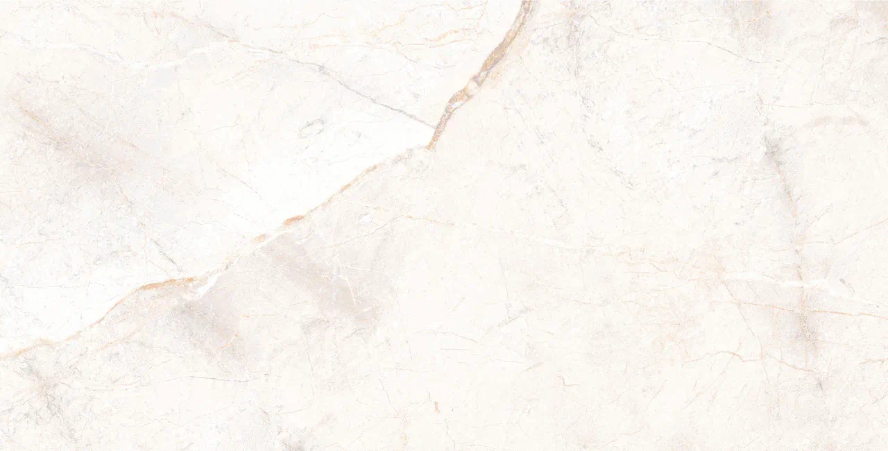 Керамогранит Manavgat Bone Polished 60x120