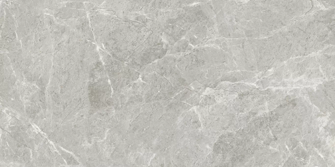 Керамогранит ETSTN1236MT60120 Baltic Grey Matt 60x120