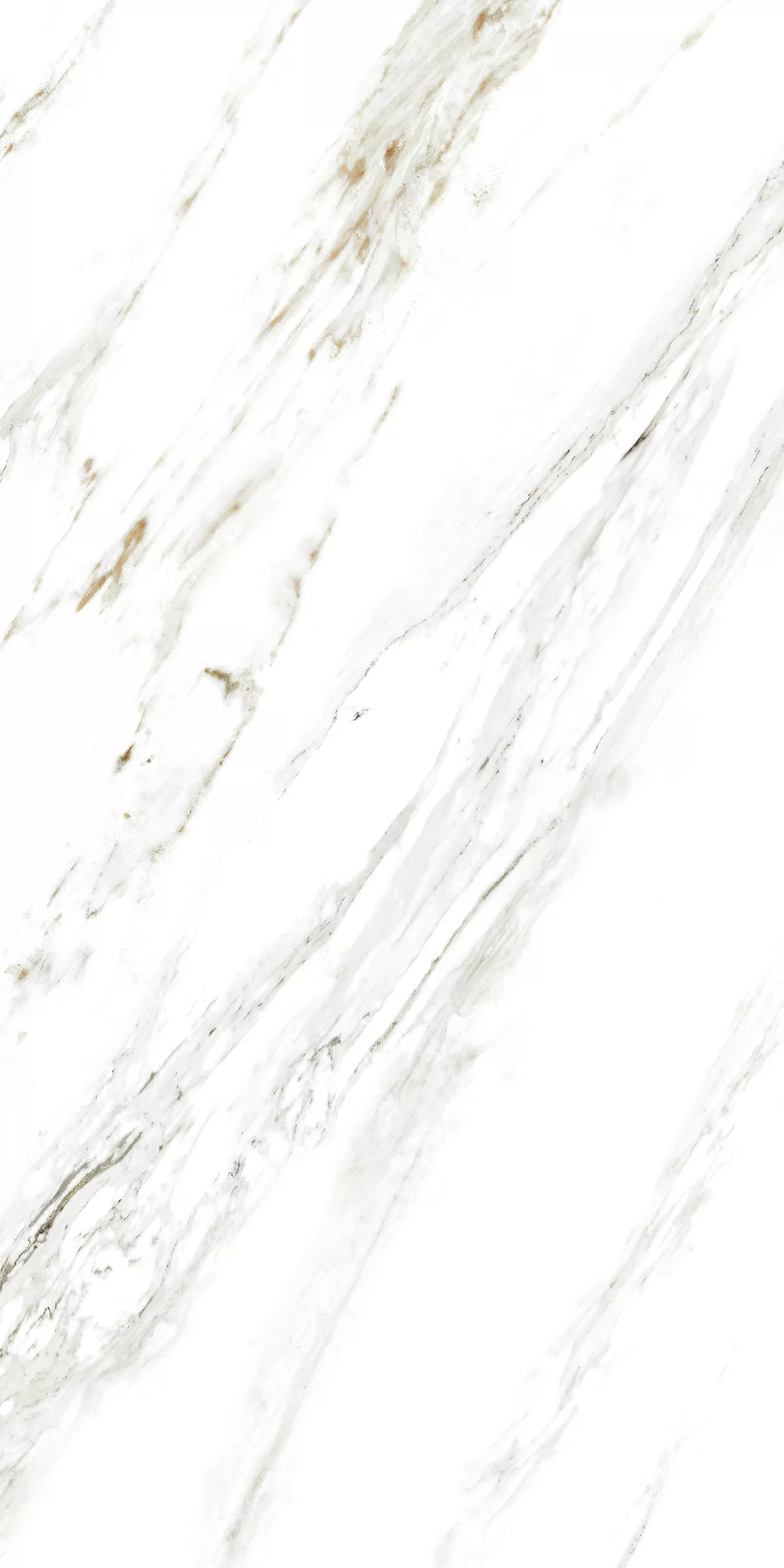 Керамогранит 885 Calacatta Caldia 120x60