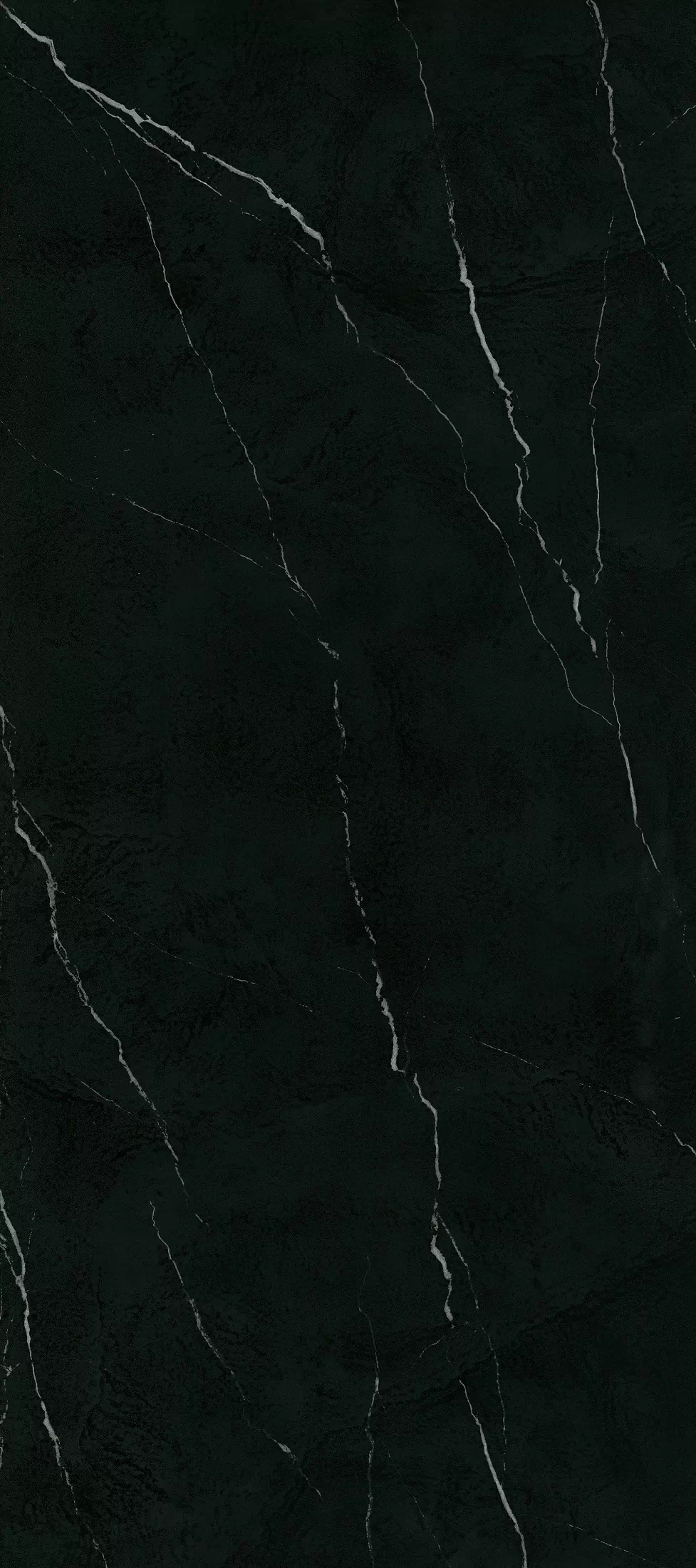 Керамогранит NTT3504L Nero Marquina 120x270