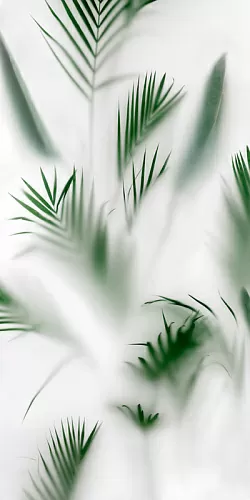 Керамогранит 4100715 Cristoforo 60x120