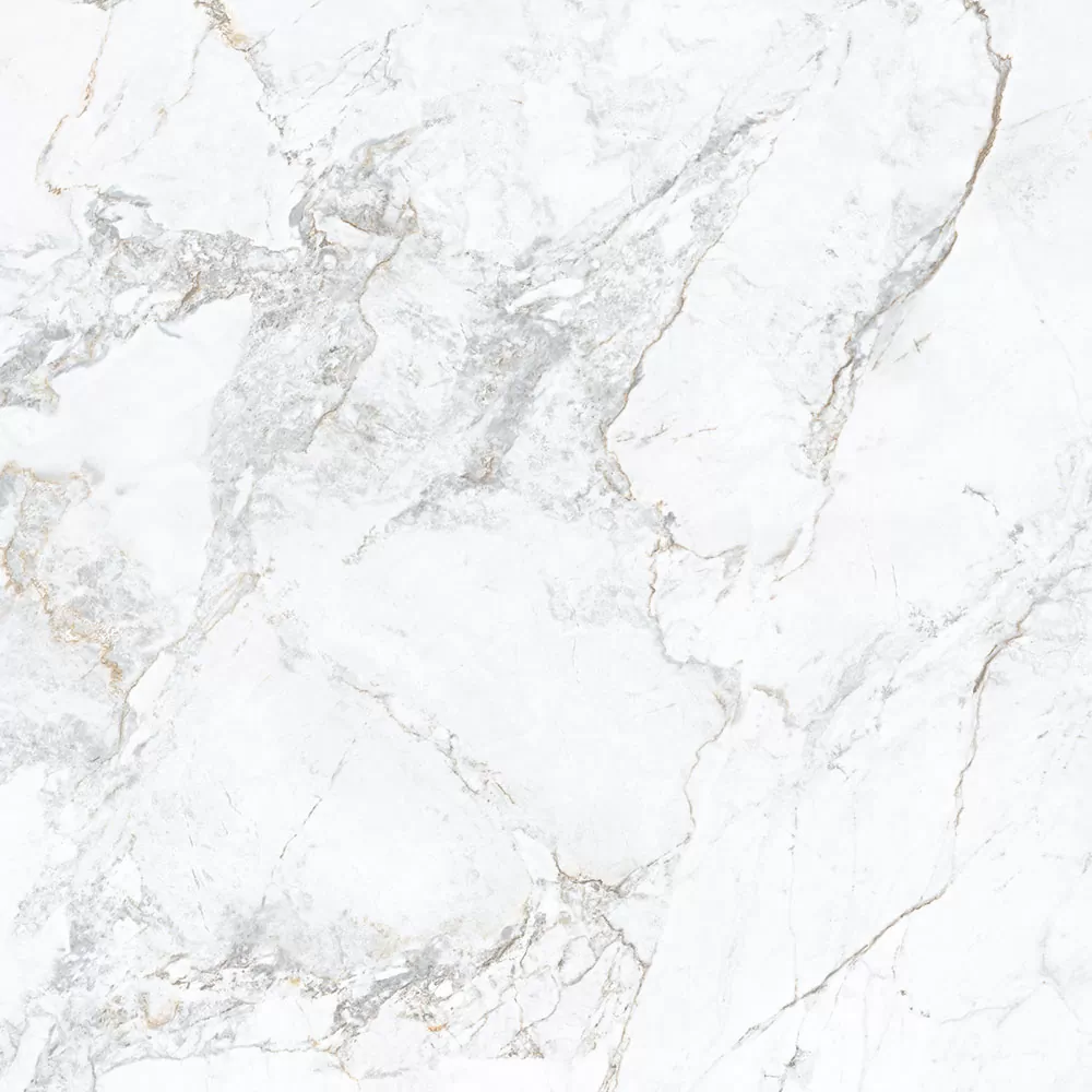Керамогранит 1865 White Rect. 100x100