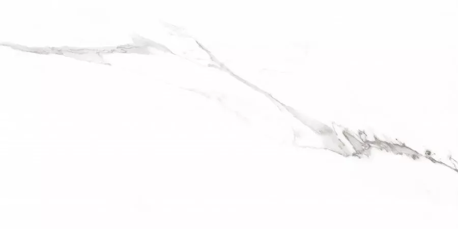 Керамогранит Carrara Rect матовая 60x120