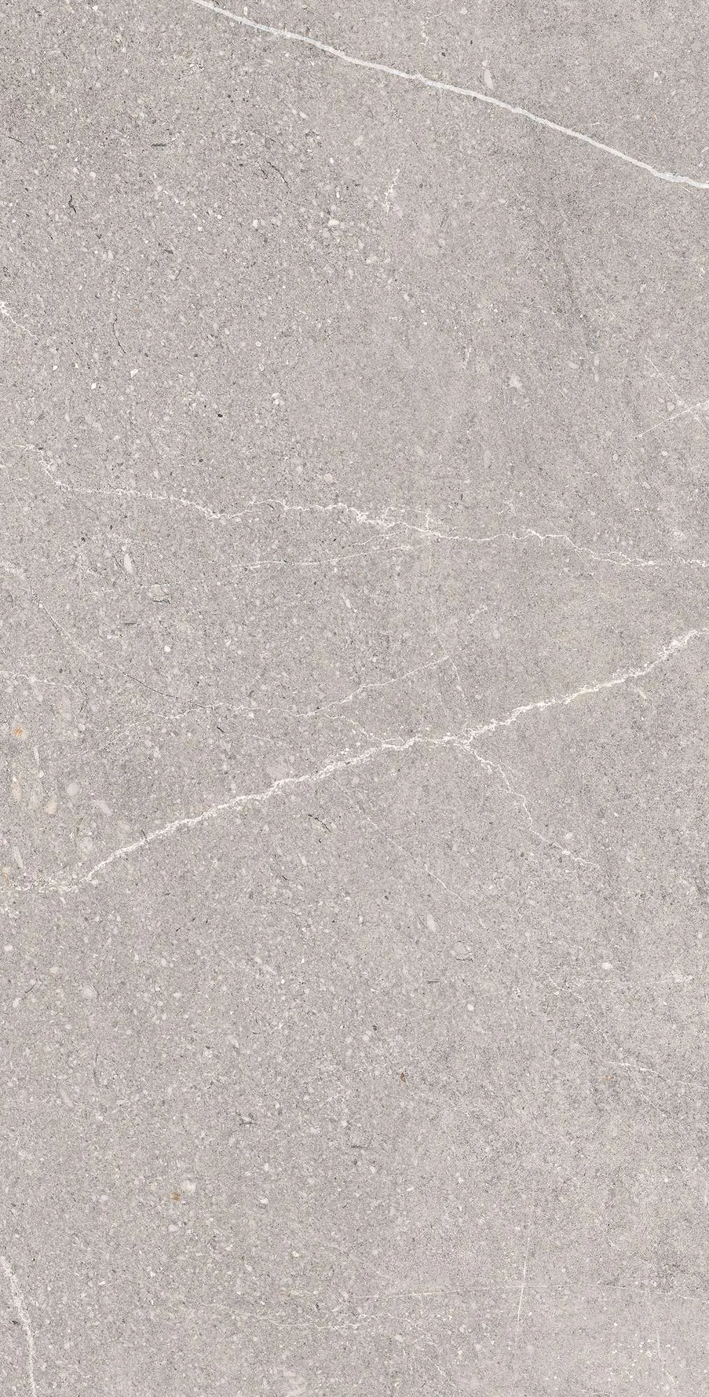 Керамогранит RG6001-A Equistone Gris Rotto Glossy Ink 60x120