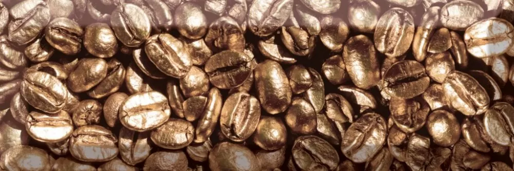 Плитка AK0571 Decor Coffee Beans 01 10x30