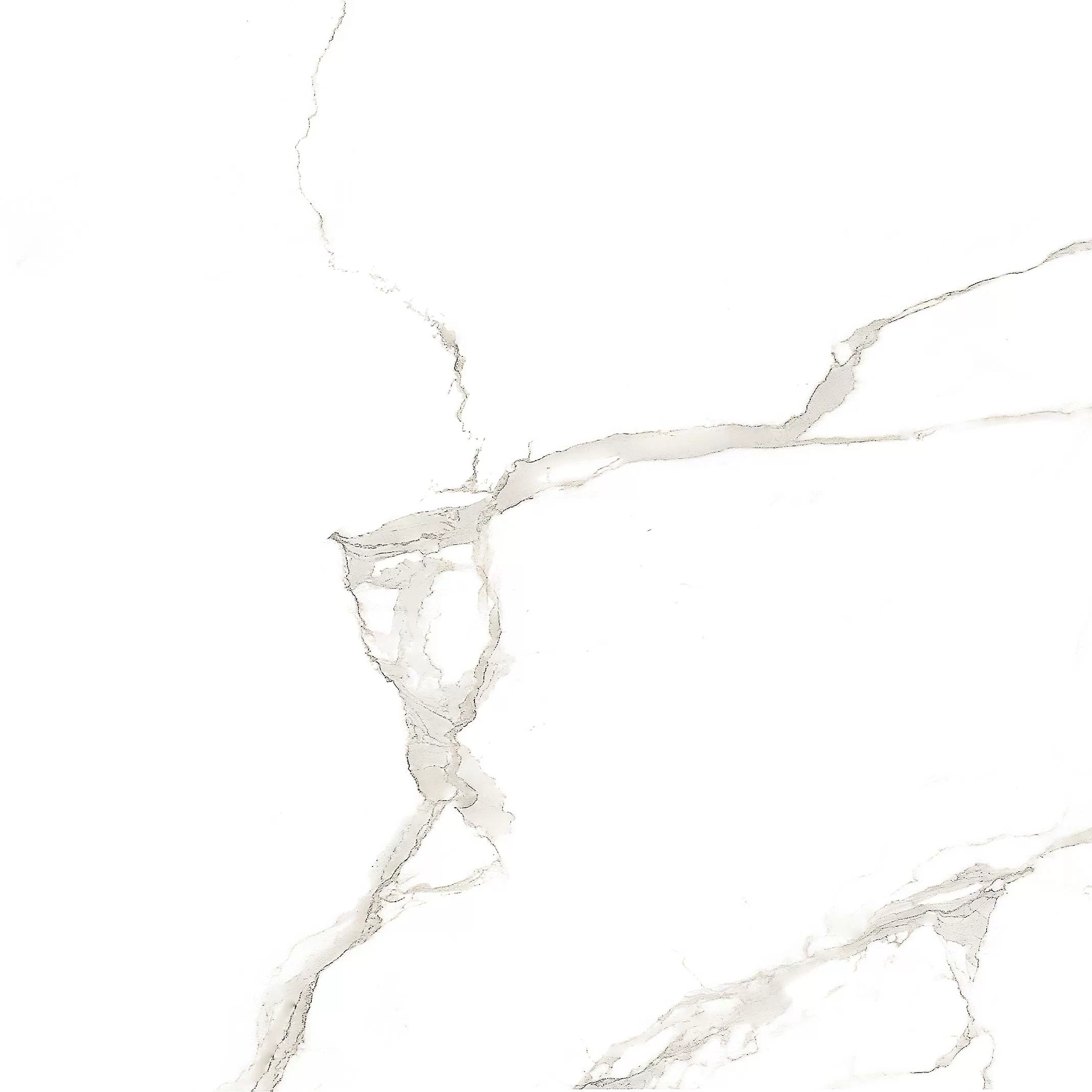 Керамогранит Carrara White 60х60