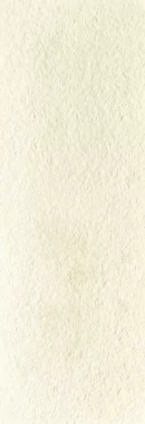 Плитка Rough White rett 35x100