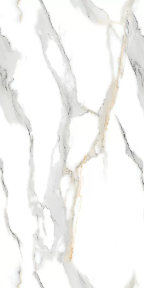 Керамогранит Staturio Oro 60x120