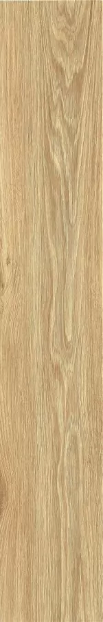 Керамогранит ZC 1223098 rect. 20x120