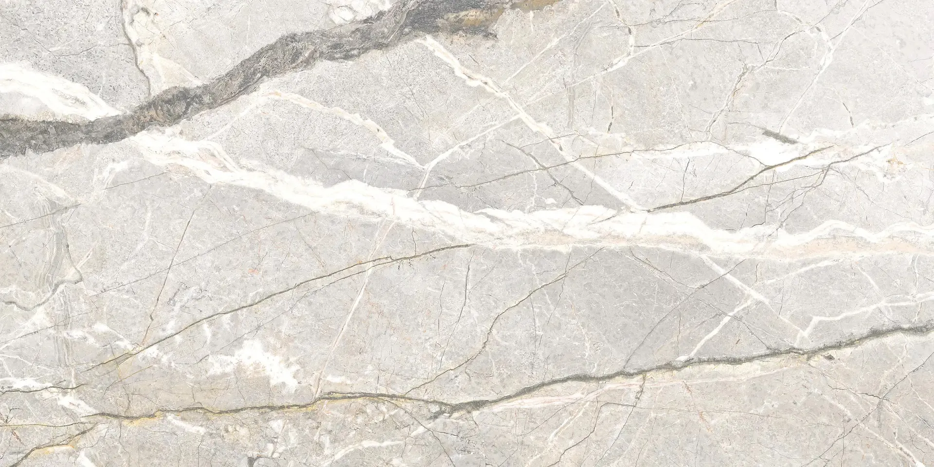Керамогранит PF60017241 Supreme Hedonism Silver Roots Lux 3D R 60x120