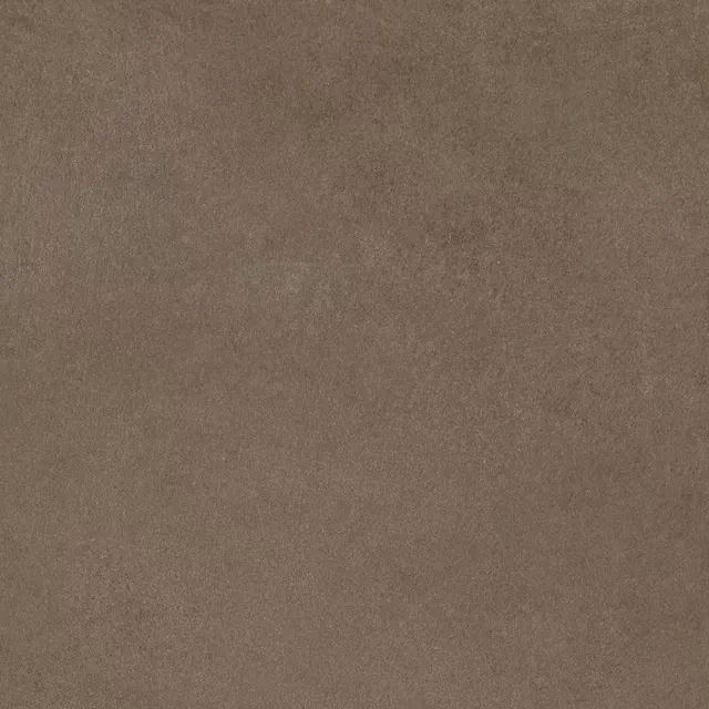 Керамогранит 780827 Easy Life Mushroom Matte Silk Ret 60x60