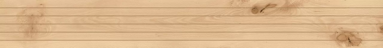 Керамогранит AX9T Log Cansei Rialto Riga 18,5x150